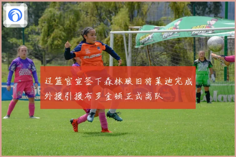 辽篮官宣签下森林狼旧将莱迪完成外援引援布罗金顿正式离队