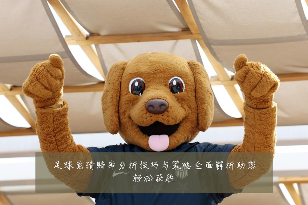足球竞猜赔率分析技巧与策略全面解析助您轻松获胜