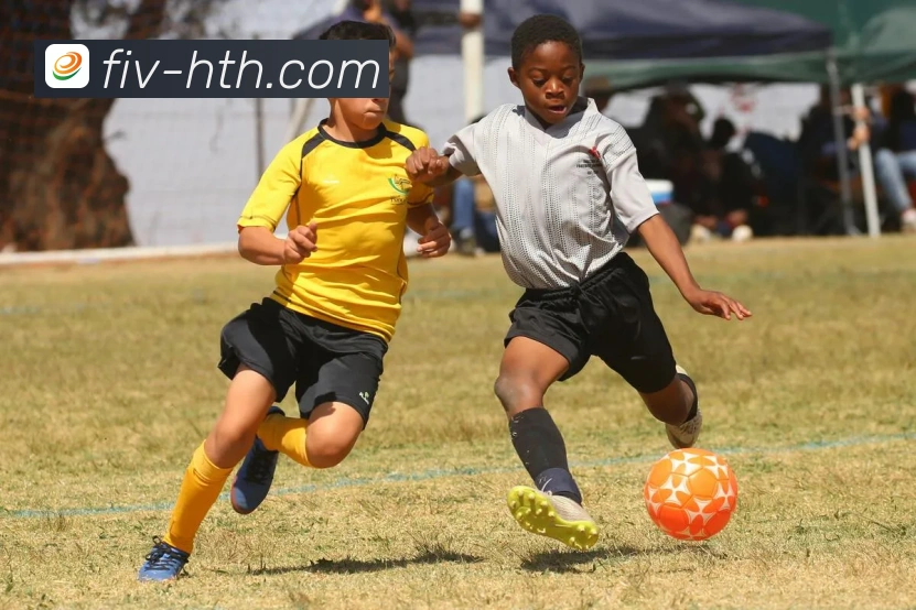 如何注册并验证账户？