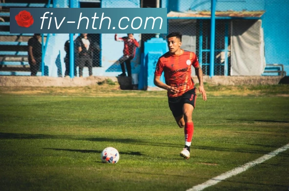 支持哪些硬件设备？